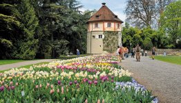 Bezoek het eiland Mainau in de Bodensee