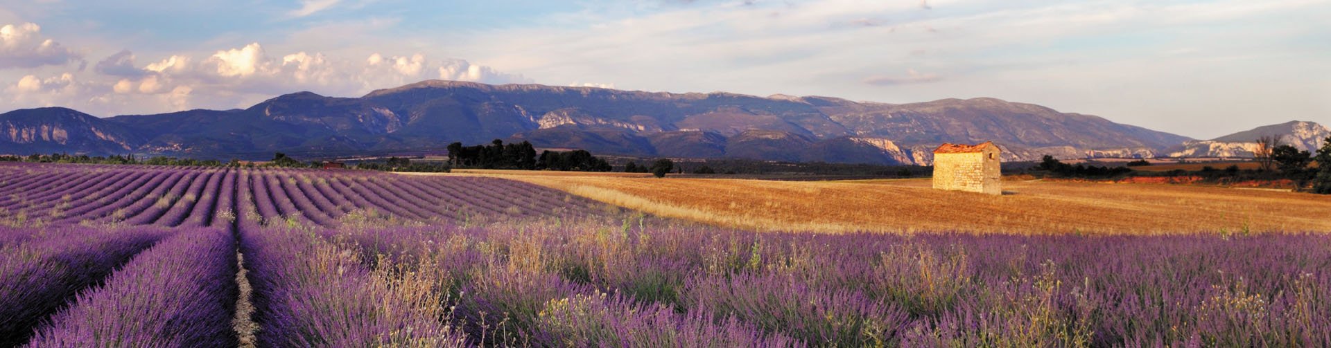 Banner foto Provence