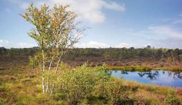 Prachtige wandelingen in de Duitse Rhön