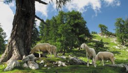 Ook het binnenland van Slovenië is meer dan de moeite waard