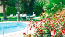 Hotel Garden Lido - prachtige tuin met zwembad