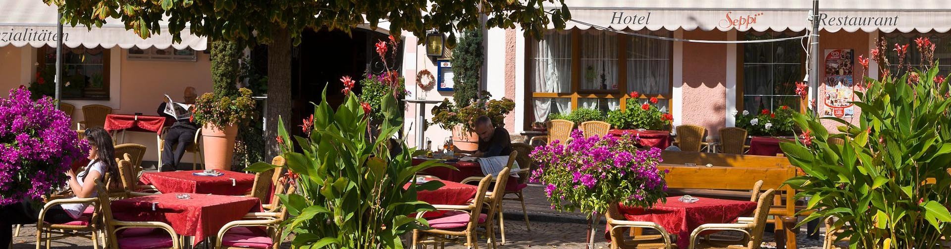 Banner Hotel Seppi in Mühlbach | Dolomieten | Italië