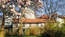 Hotel Zum Goldenen Ochsen in Aschaffenburg
