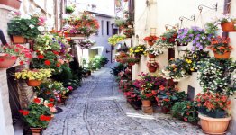 Het prachtige historische en kleurrijke Spello in Umbrië