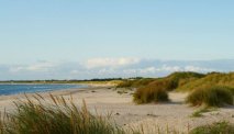 Strand en duinen