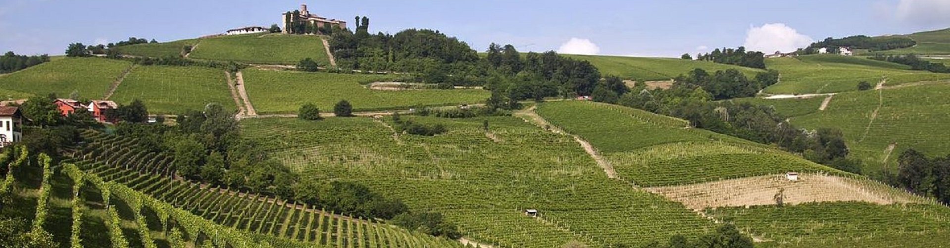 Bannerfoto regio Piemonte