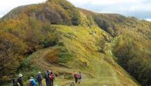 Wandelen en hiken in de omgeving