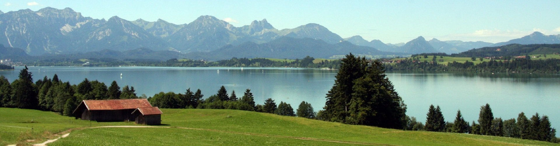 Bannerfoto Forggensee