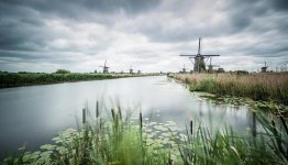 Nederland - Kinderdijk ©Pixabay