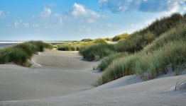 Nederland - Duinen ©Pixabay