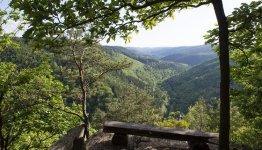 Duitsland Thüringen Schwarzadal
©Dörthe Hagenguth