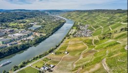 Moezel - wijnbergen Florian Trykowski Rheinland-Pfalz Tourismus