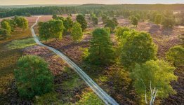 Wandelen Lüneburger Heide © Lüneburger Heide GmbH, Dominik Ketz