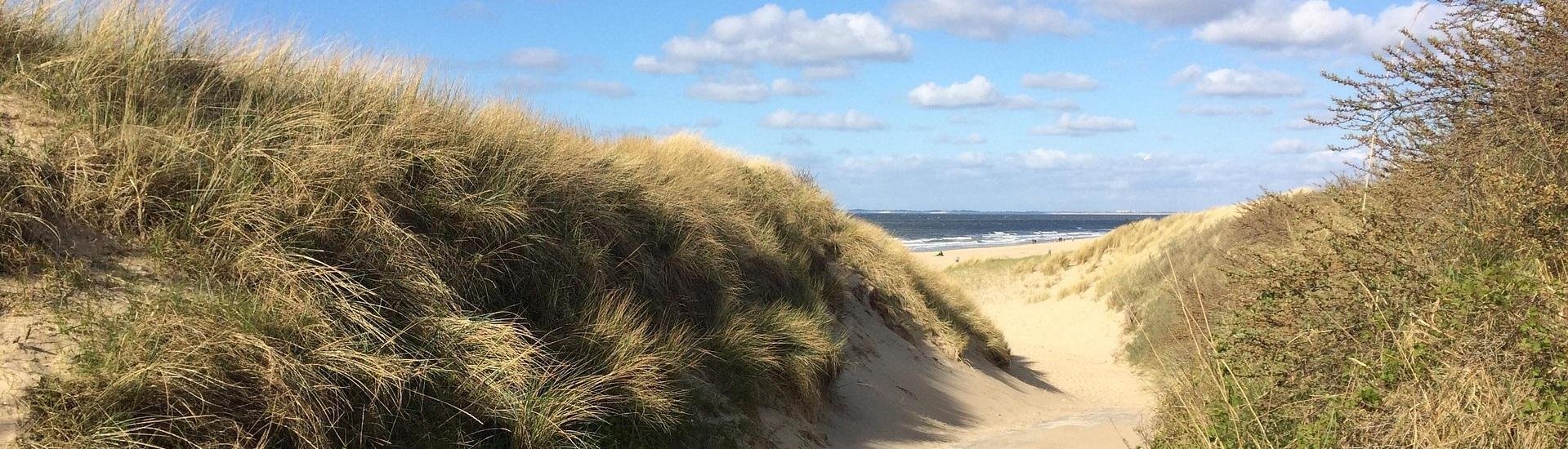 Banner Nederlandse kust © Pixabay