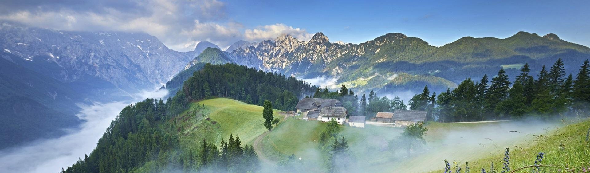 SL-34_Plesnik_Hotel_Banner_.Tomo Jeseničnik_Center Rinka_jpg